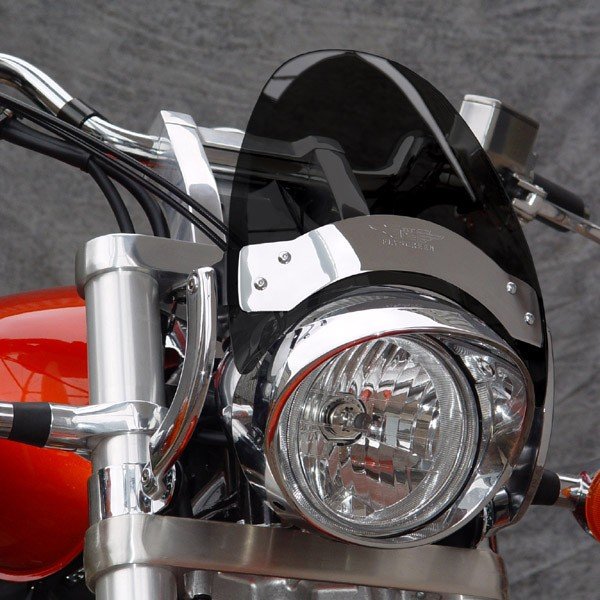 N2537 — Лобовое стекло National Cycle